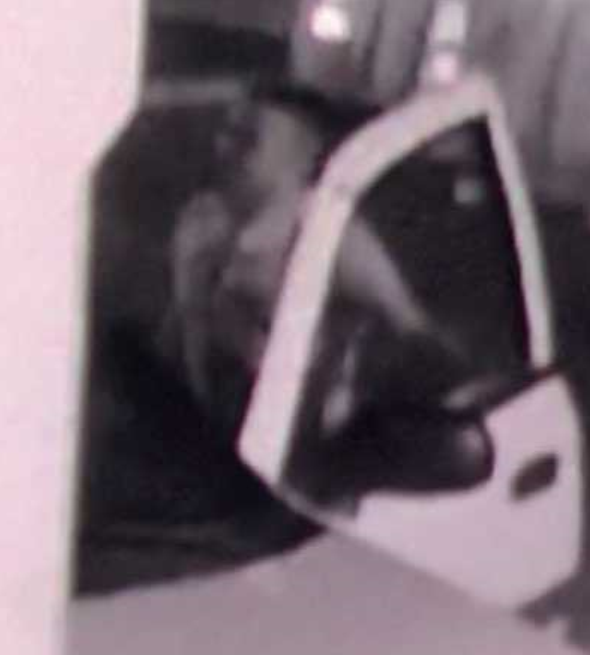 *UPDATE* Police Department Seeking Public's Assistance to