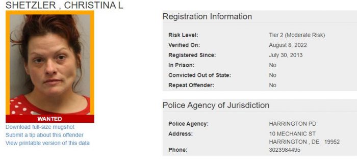 Christina Shetzler Sex Offender Registry - Wanted status