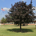 Harry O. Eisenberg Elementary School