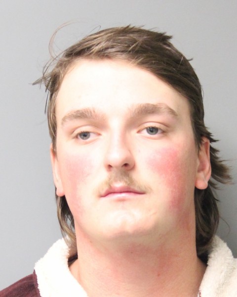 Jedidiah Dorman mugshot photo with gray background