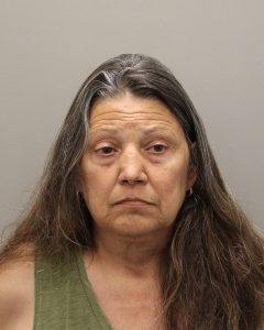 Mugshot Image of Lori Mangini