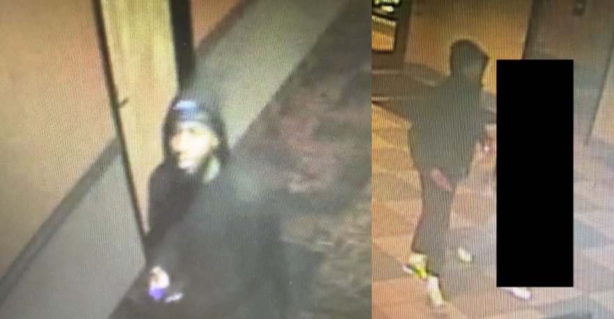 Images of the robbery suspect