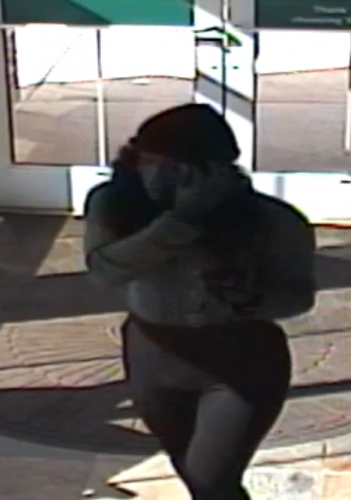 Screenshot photo of the suspect
